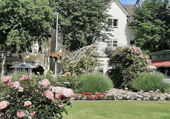 Image 20
