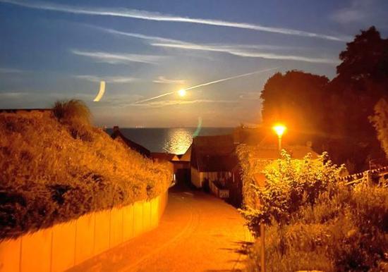 Image 29