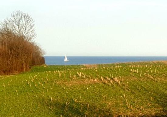 Image 19