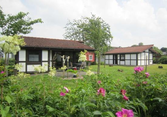 Image 25