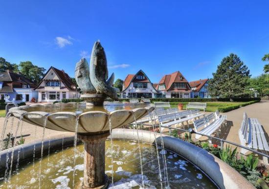 Image 27