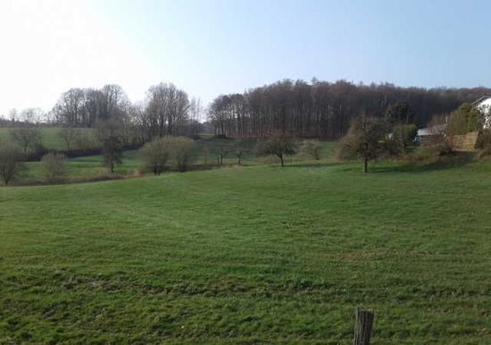 Image 36