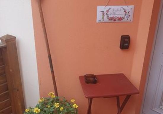 Image 15