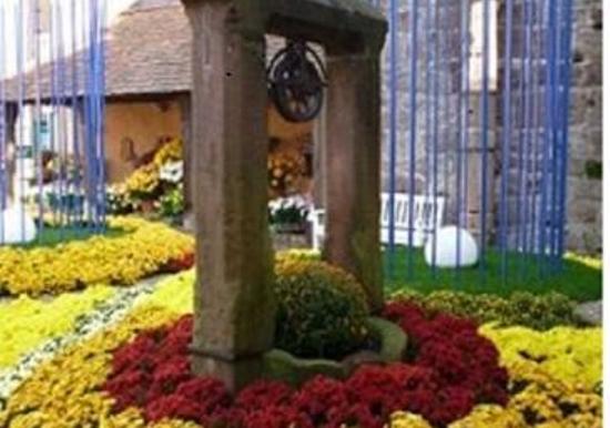 Image 15