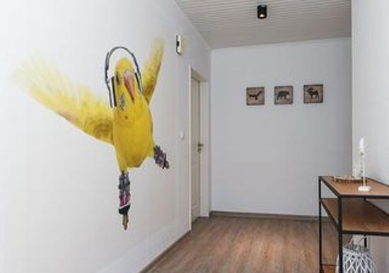 Image 39