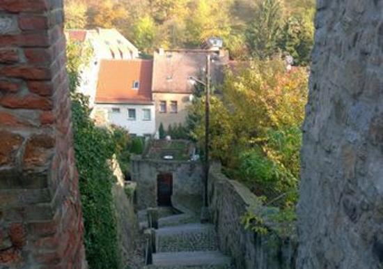Image 31