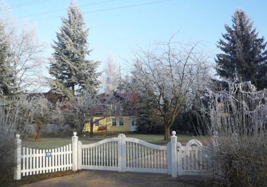 Image 13