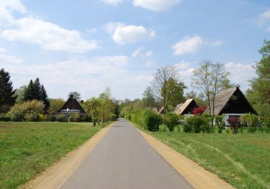 Image 14