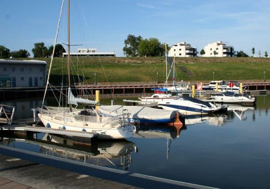 Image 26