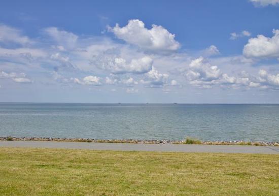 Image 39