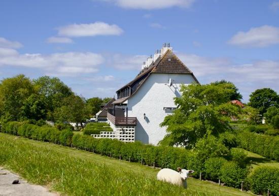 Image 33