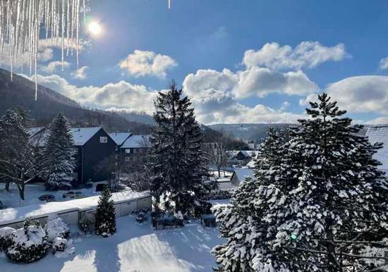 Image 21