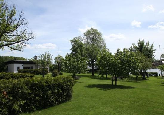 Image 12