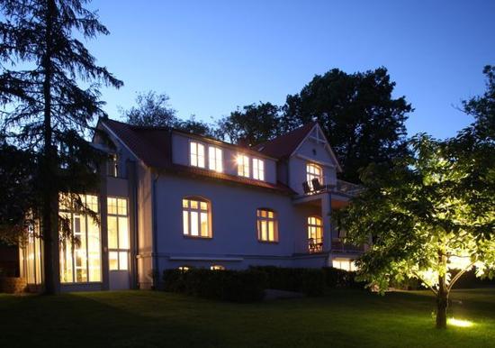 Image 15