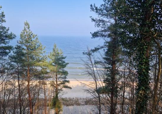 Image 12