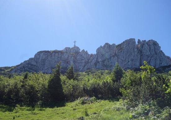 Image 36