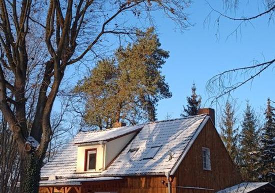 Image 11
