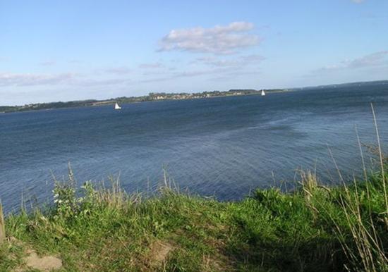 Image 10