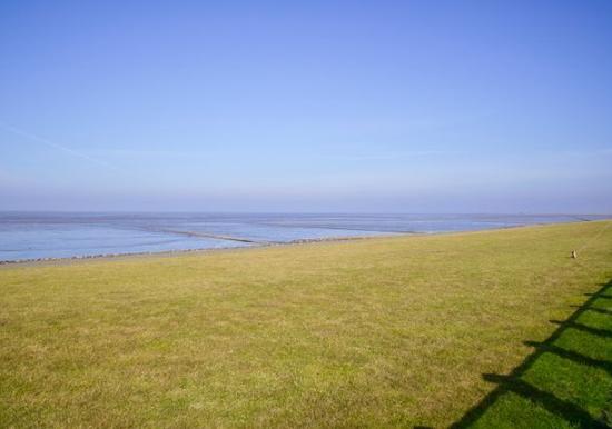 Image 31