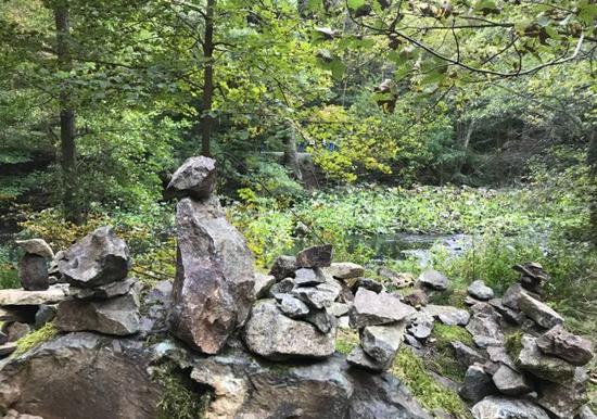 Image 25