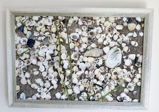 Image 14
