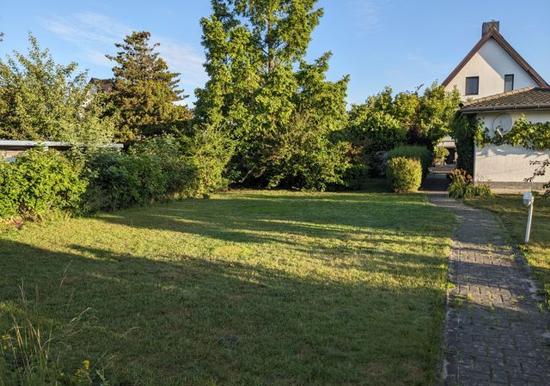 Image 26