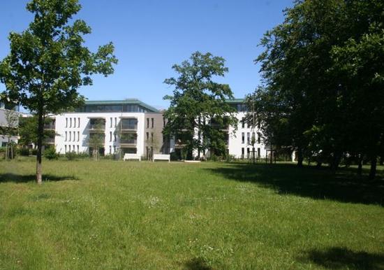 Image 14