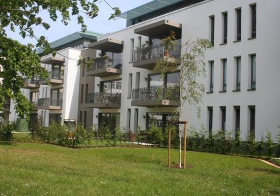 Image 15