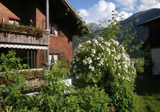 Image 20