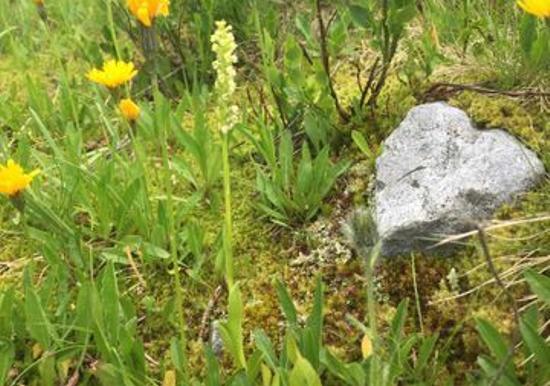 Image 29