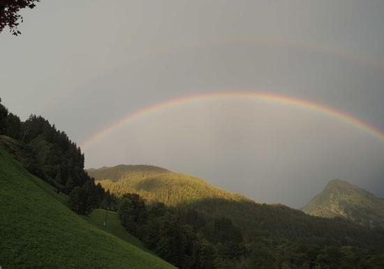 Image 30