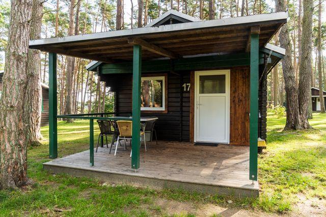 Urlaub im Bungalow - mitten im Wald - Urlaub im Bungalow