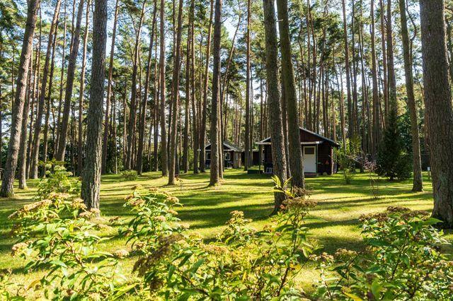 Urlaub im Bungalow - mitten im Wald - Urlaub im Bungalow (Nr. 20)
